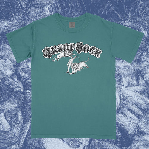 FAST CARS - BLUE SPRUCE