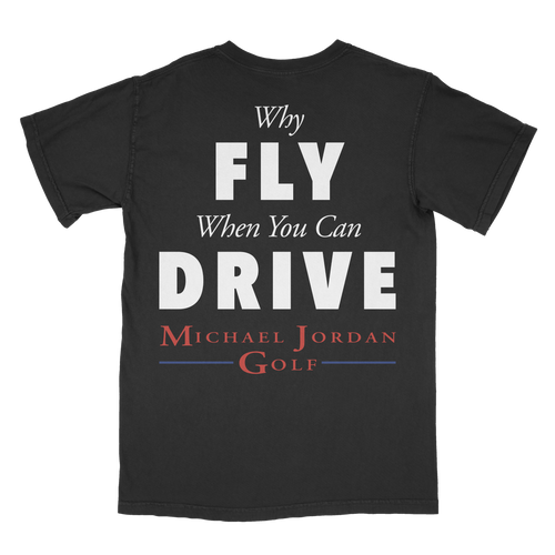 WHY FLY
