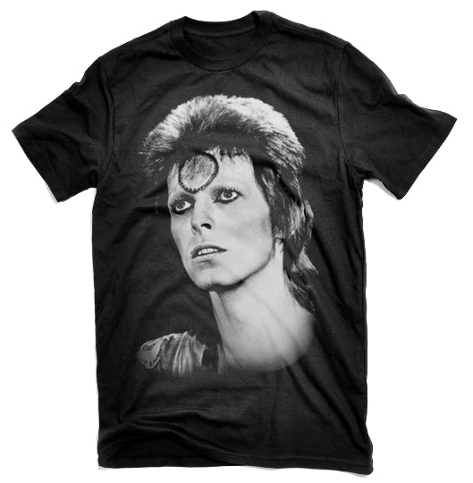ZIGGY